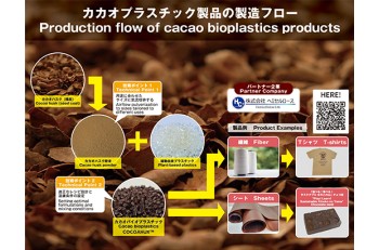 Biodegradable plastics from cacao husk