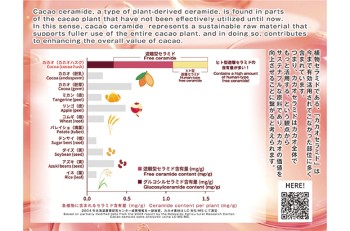 cacao ceramide