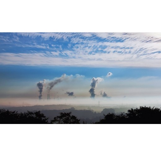 Surveys and research on environmental conservation