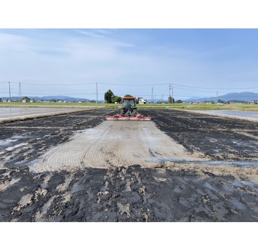 Biochar