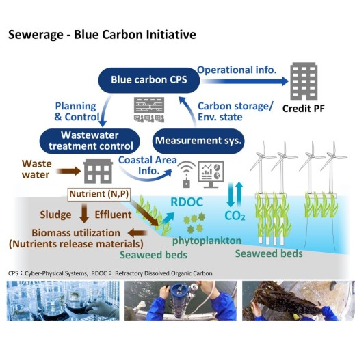 3. [Mitigation & Adaptation] Nutrient Supply Management for Blue Carbon (Hitachi)