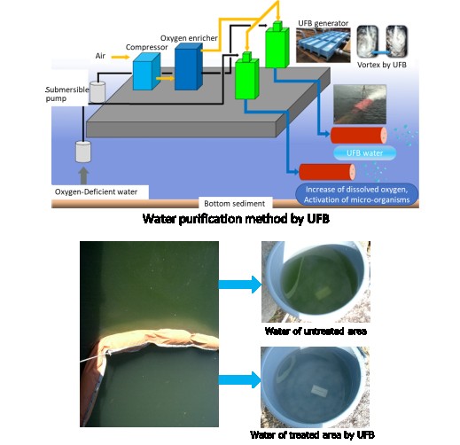 Lake Water Purification by Ultra Fine Bubble Water