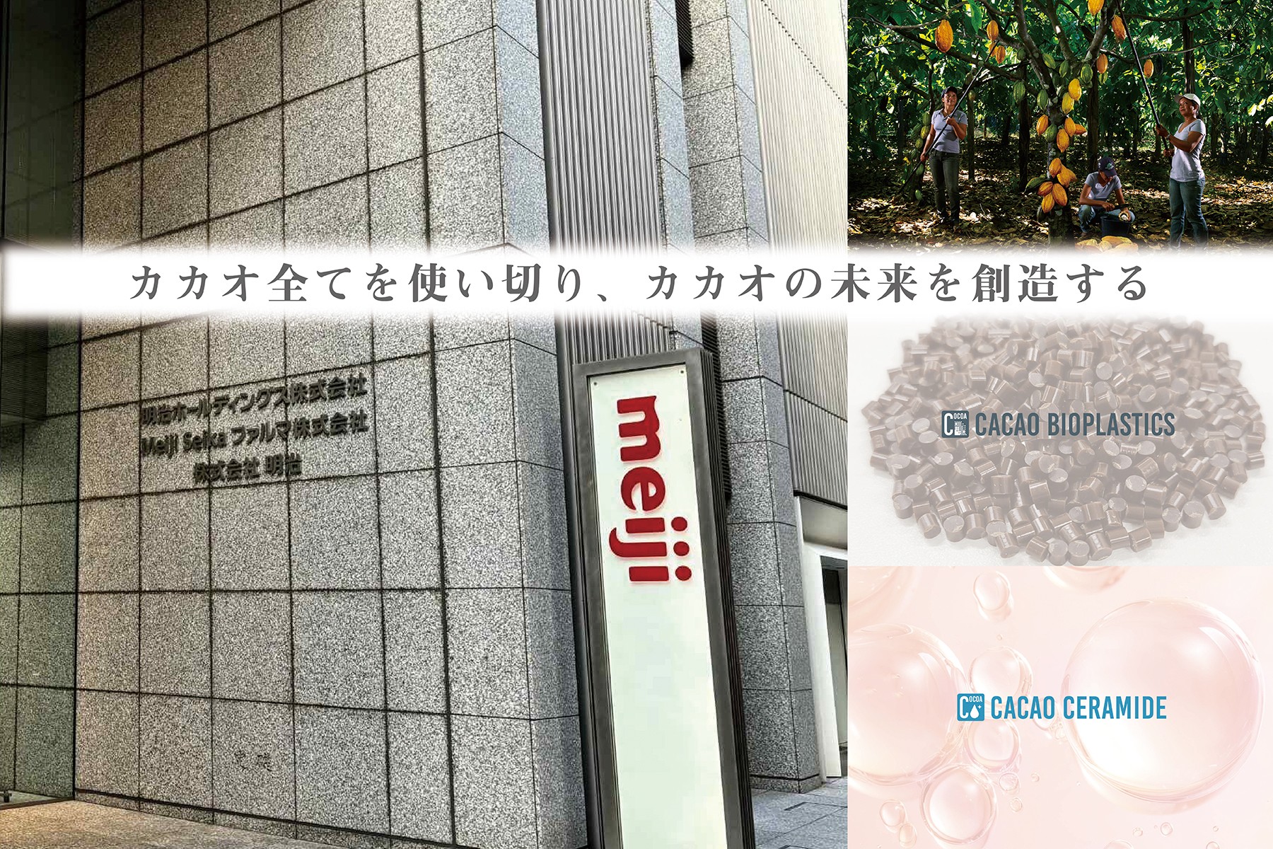 企業ブース