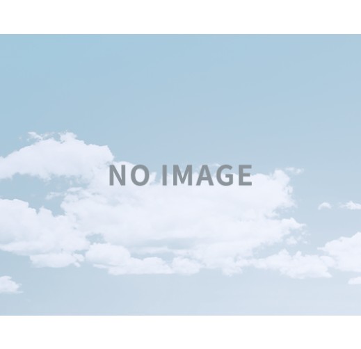 環境浄化用触媒（VOC、窒素酸化物、アンモニアなど悪臭、炉内浄化、石油化学）